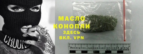 индика Верхний Тагил