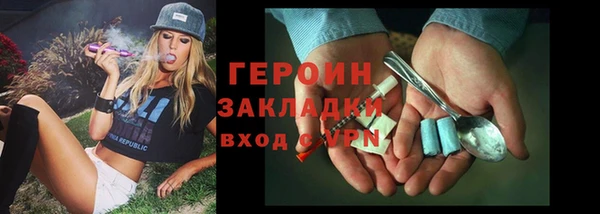 крисы Бородино