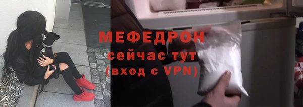 крисы Бородино