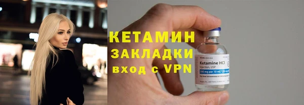 крисы Бородино