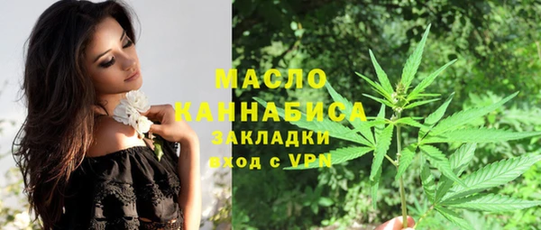 крисы Бородино