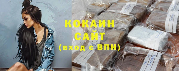 индика Верхний Тагил