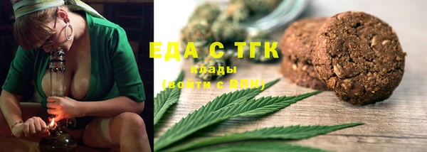 крисы Бородино
