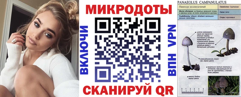Галлюциногенные грибы Psilocybe  Купить  Кохма 